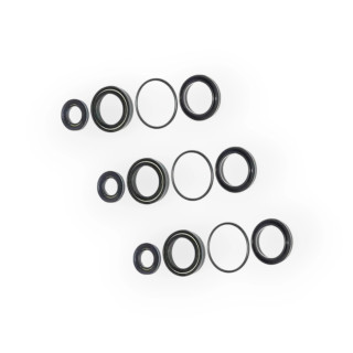 Zestaw uszczelniaczy pompy CAT 5CP - 33628